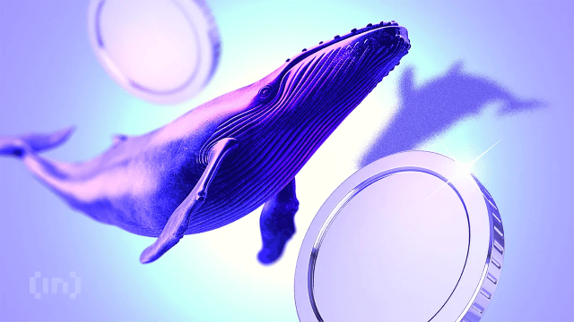 Whale Flow to Binance Hits Six-Month Low at $3.27 Billion | Weekly Whale Watch